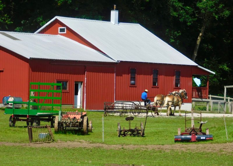 The Schwartzentruber Amish: A Community Unlike Any Other The Schwartzentruber Amish: A Community Unlike Any Other