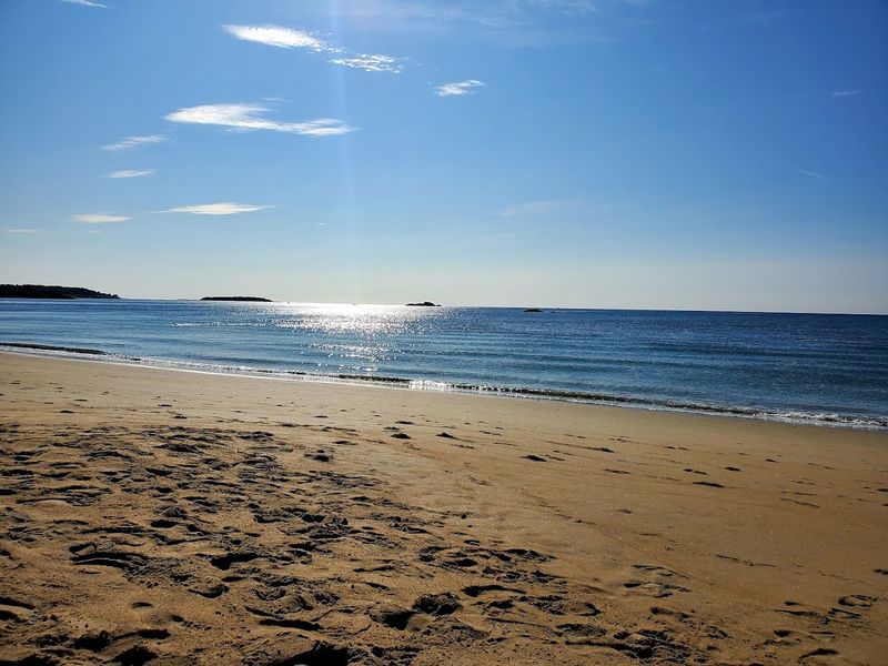 The Science Behind the Sand That Actually Sings The Science Behind the Sand That Actually Sings
