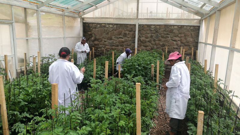 The Scientific Importance of This Place The Scientific Importance of This Place