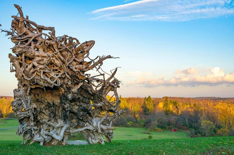 The Sculptures Do Not Ask Permission From the Landscape