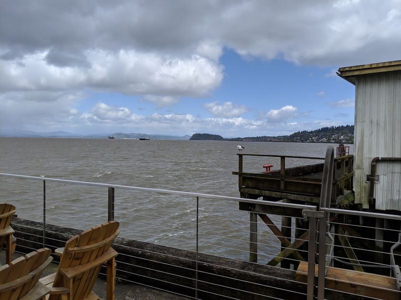 The Sea Lion Viewing Floor That Makes This Place Famous