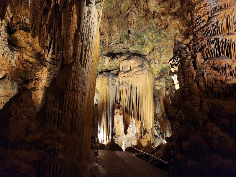 The Self-Guided Tour Format Gives You Total Control The Self-Guided Tour Format Gives You Total Control