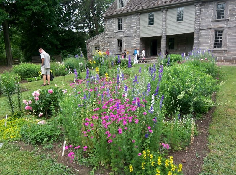 The Self-Taught Farmer Who Changed American Botany