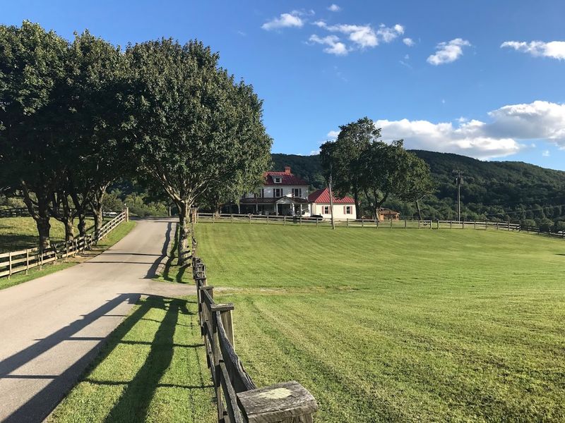 The Setting That Greets You Before You Even Walk In