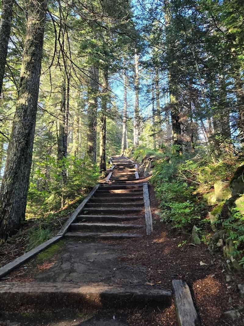 The Short But Steep Trail to the Top The Short But Steep Trail to the Top