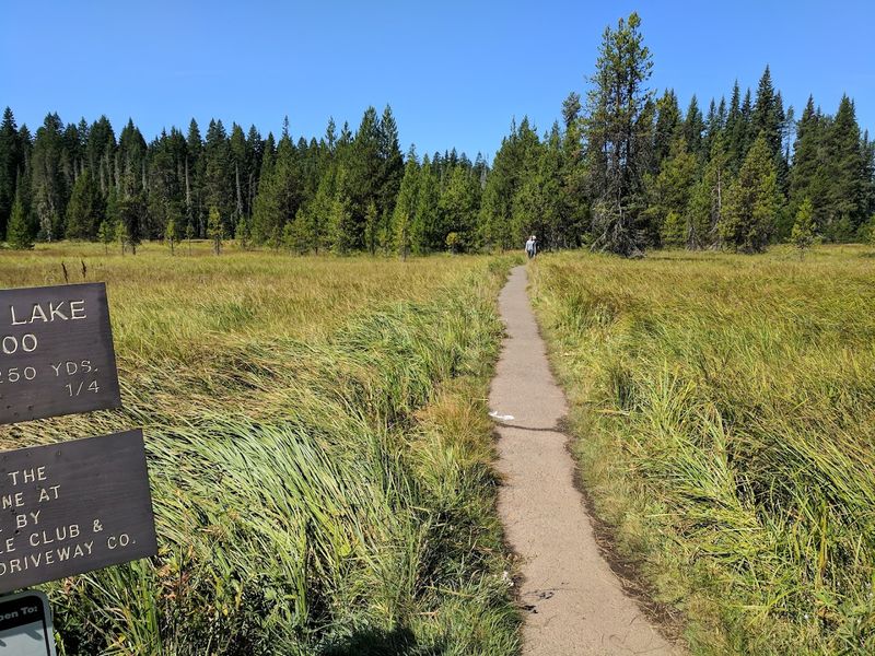 The Short Trail That Gets You There