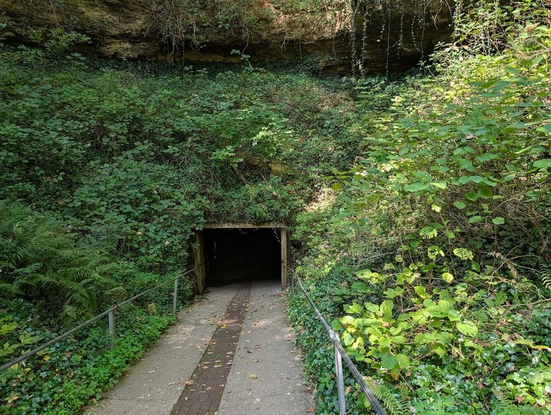The Sinkhole Trail Worth the Short Walk