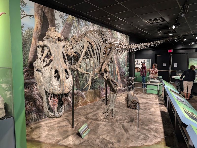 The Soft Tissue Discovery That Rewrote Paleontology The Soft Tissue Discovery That Rewrote Paleontology