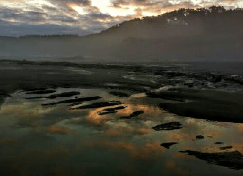 The Spencer Creek Mouth and Freshwater Meeting Salt