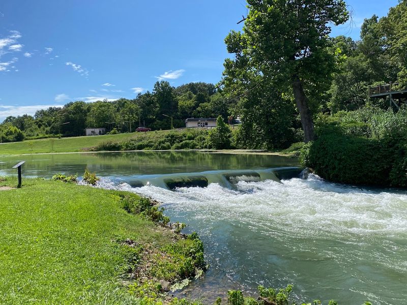 The Spring That Flows Like a Small River All on Its Own