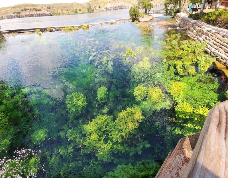 The Spring That Has Been Flowing for Millions of Years