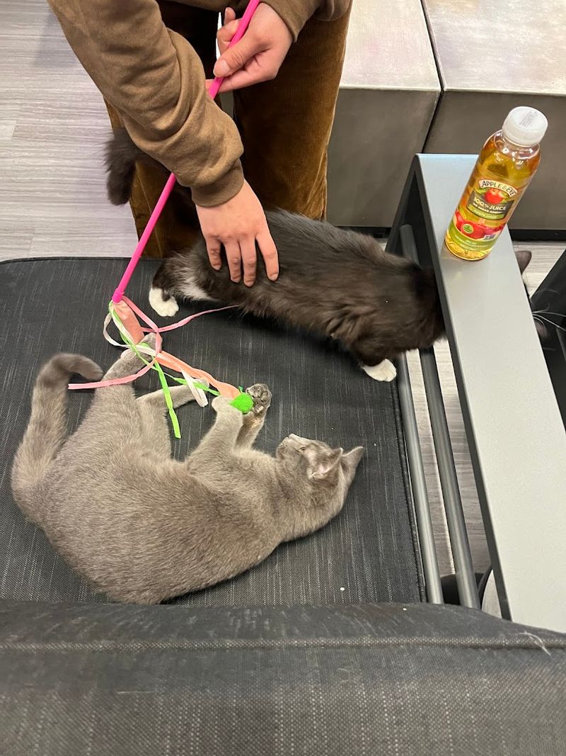 The Staff That Makes It All Work