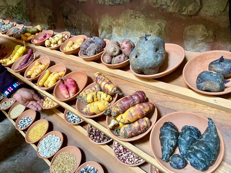The Staggering Number of Potato Varieties The Staggering Number of Potato Varieties