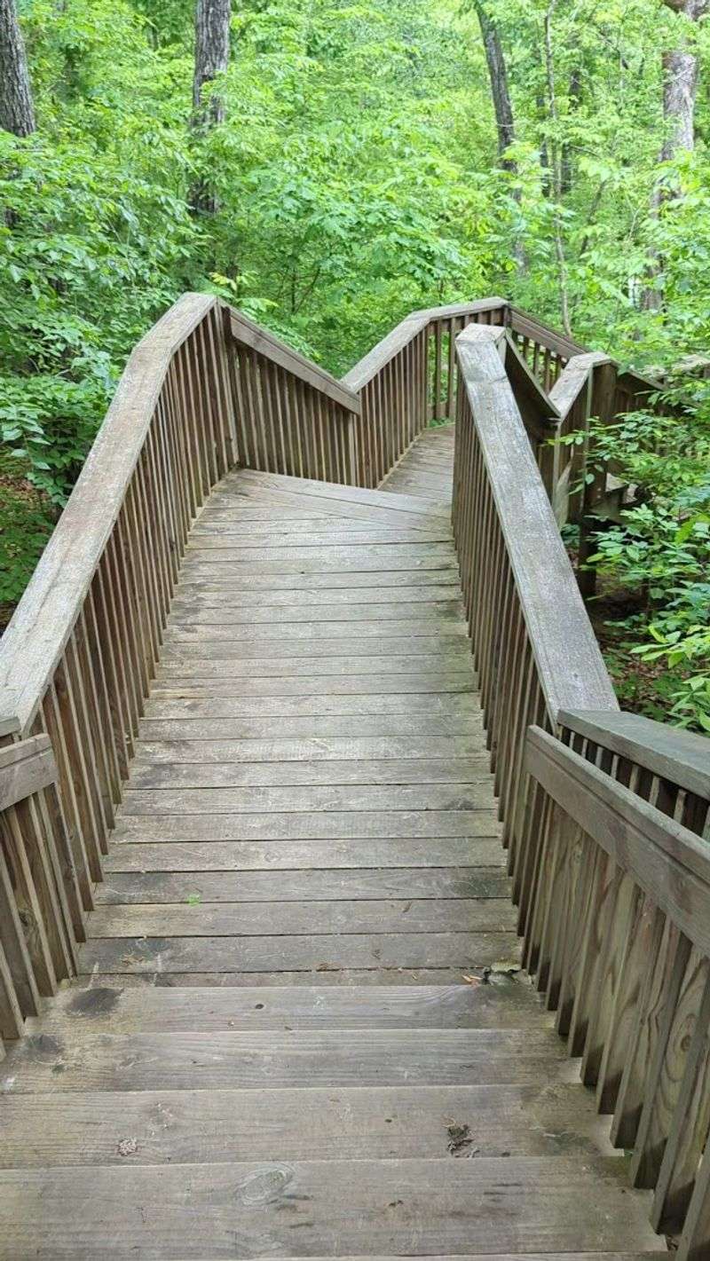 The Staircase Descent That Will Test Your Legs The Staircase Descent That Will Test Your Legs