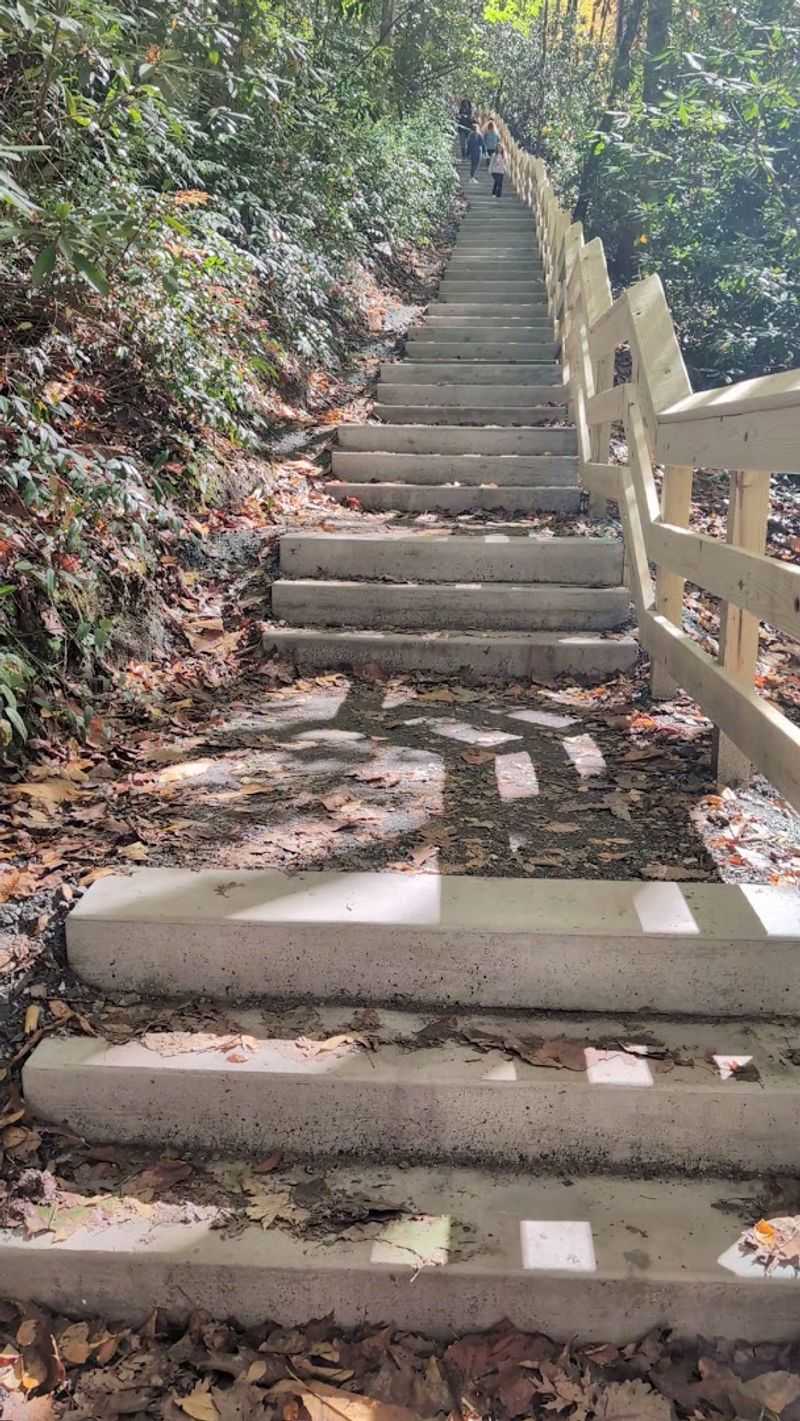 The Stairway That Everyone Remembers The Stairway That Everyone Remembers