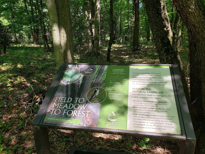 The Story Behind New Jersey Audubon's Involvement The Story Behind New Jersey Audubon's Involvement