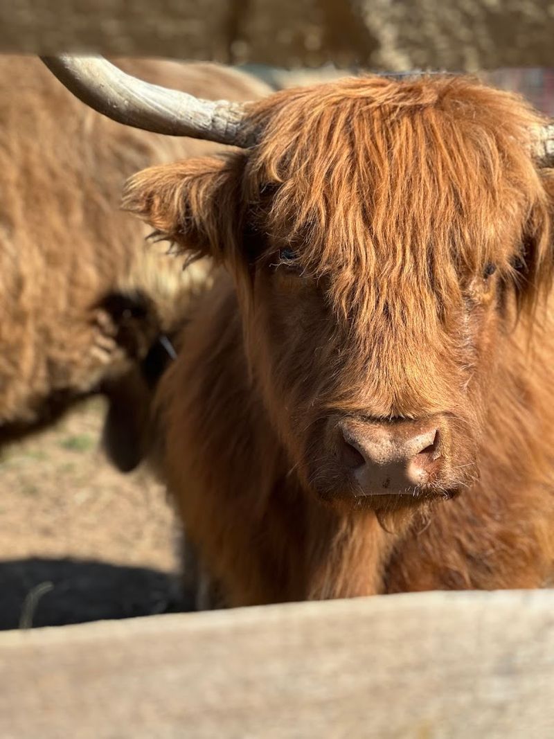 The Story Behind the Farm The Story Behind the Farm