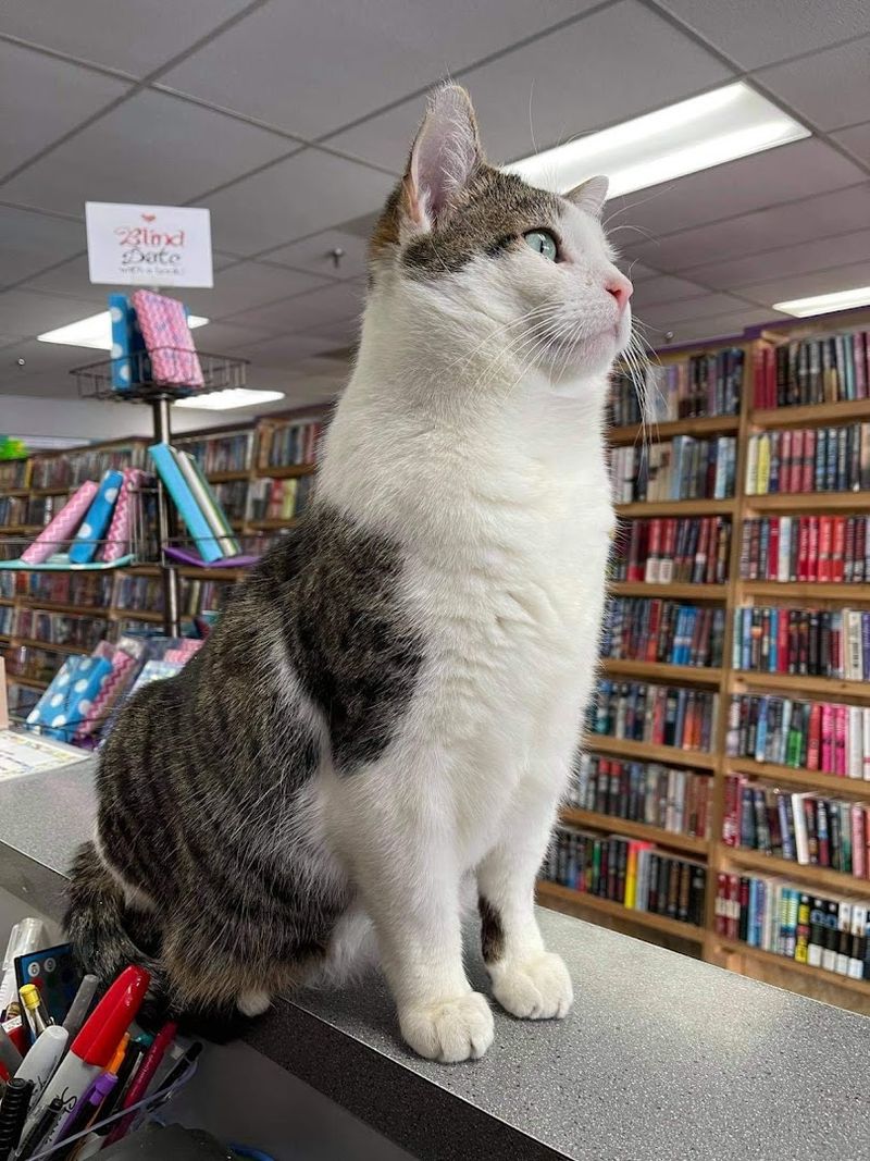 The Story Behind the Shop The Story Behind the Shop
