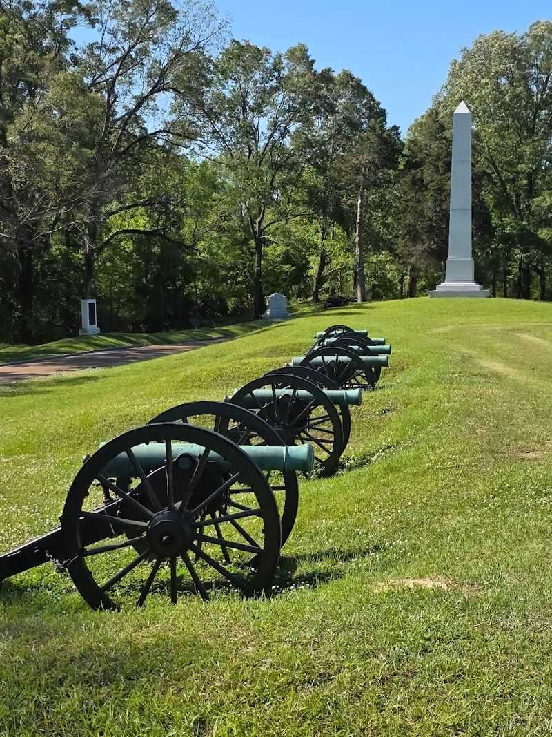 The Story Behind the Vicksburg Campaign The Story Behind the Vicksburg Campaign