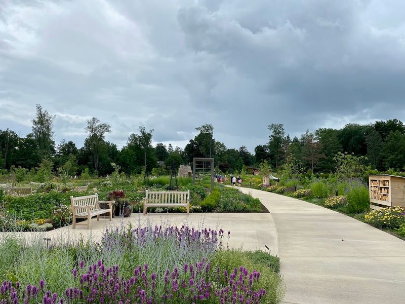 The Strolling Garden, the Event Lawn, and the Tree That Started It All