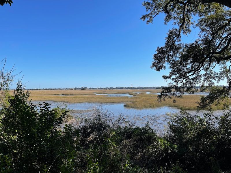 The Stunning Marsh Views Along the Ashley River The Stunning Marsh Views Along the Ashley River