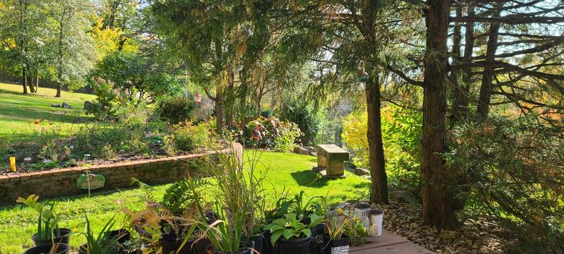 The Surprising Scale Behind a So-Called Tiny Garden
