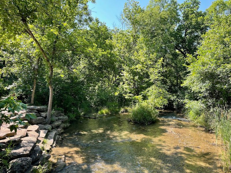 The Surrounding Landscape: What Makes This Place Look Different