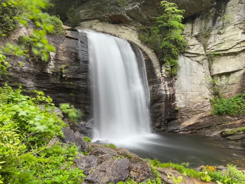 The Surrounding Pisgah National Forest