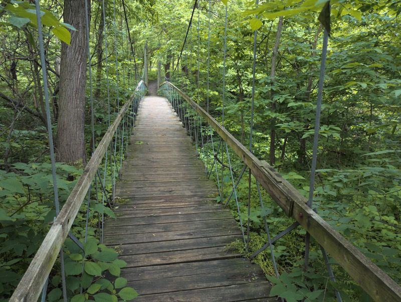 The Suspension Bridge That Stops Everyone Mid-Stride