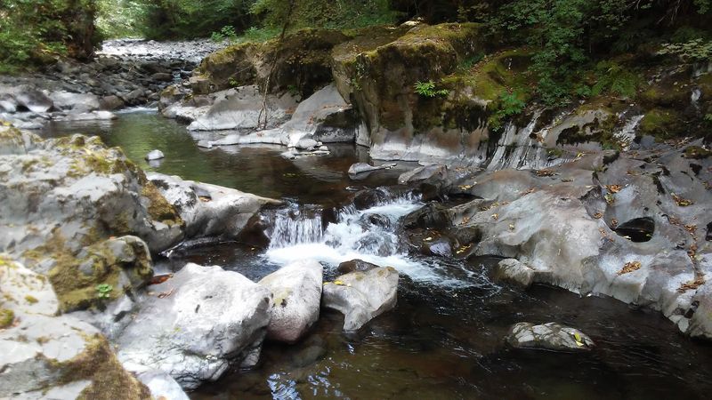 The Swimming Hole Secret: Blue-Green Water in the Hills The Swimming Hole Secret: Blue-Green Water in the Hills