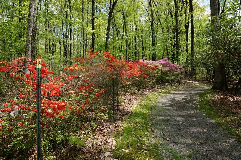 The Three Trails and How to Choose the Right One for Your Visit