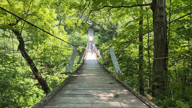 The Thrill of Crossing the Bridge