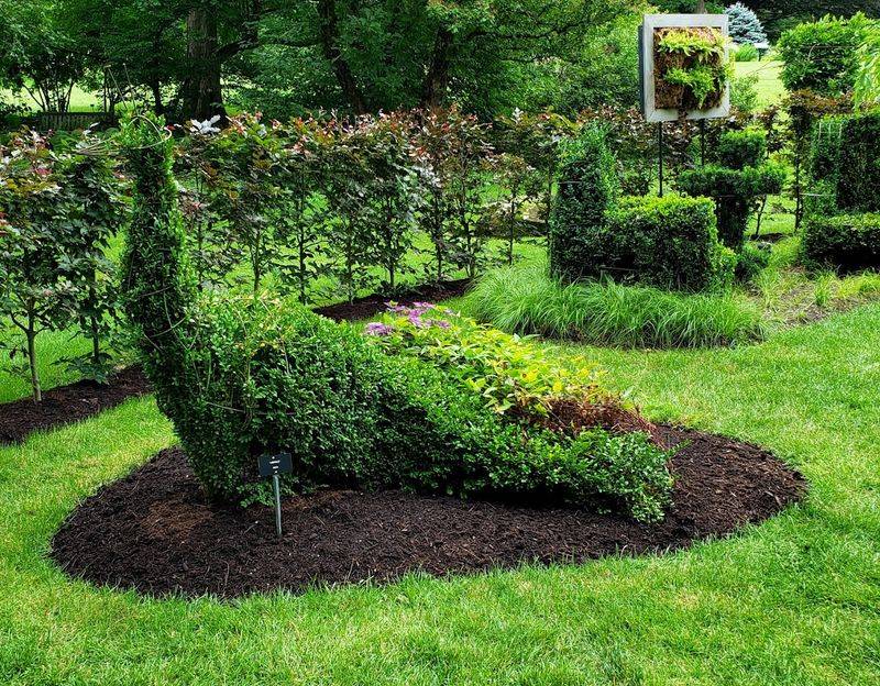 The Topiary Garden: Where Patience Becomes Art