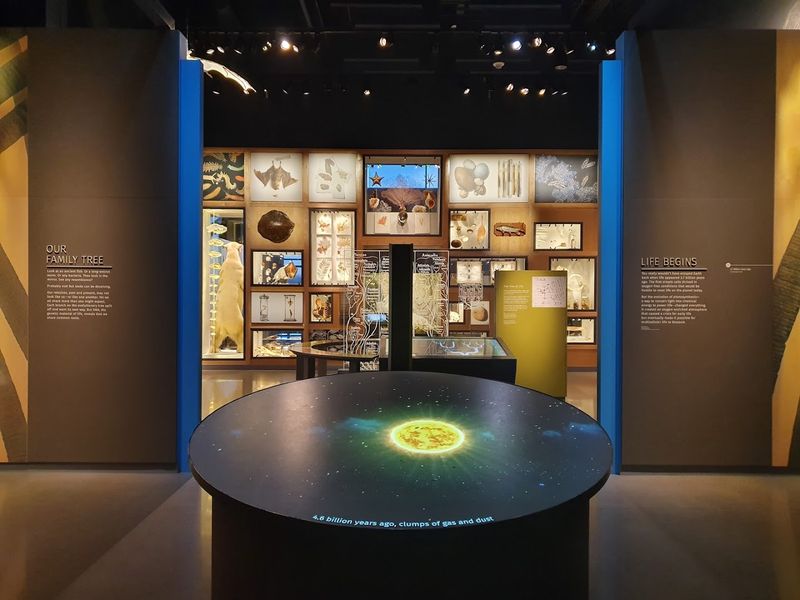 The Touch and See Lab: Science You Can Actually Handle The Touch and See Lab: Science You Can Actually Handle