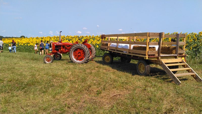 The Tractor Wagon Ride Around the Farm The Tractor Wagon Ride Around the Farm