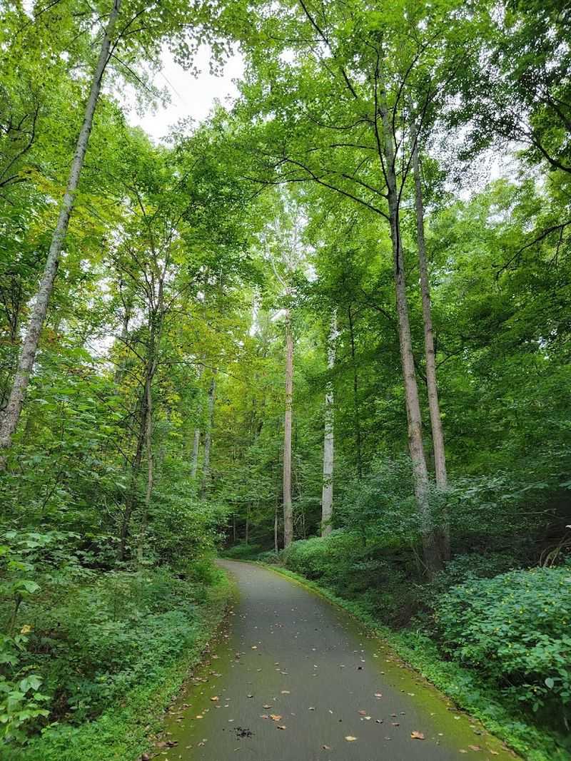 The Trail Down Is Deceptively Easy The Trail Down Is Deceptively Easy