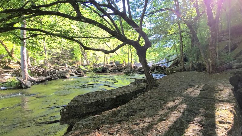 The Trail Loop and How It Works The Trail Loop and How It Works