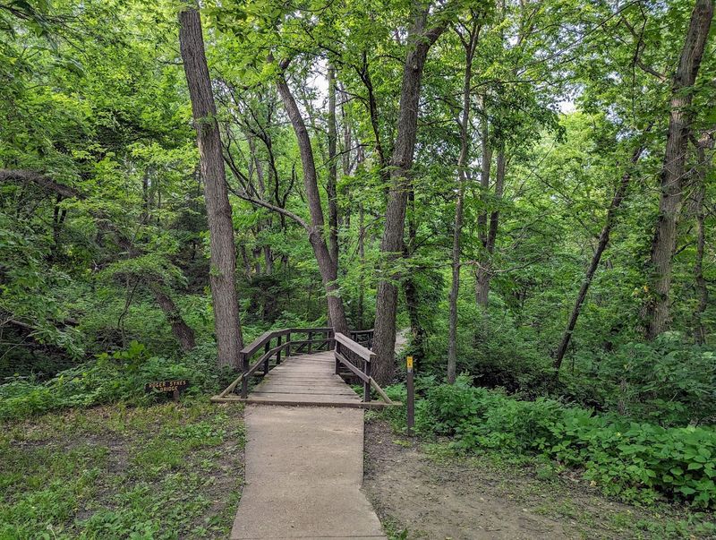 The Trail Network That Keeps Hikers Coming Back