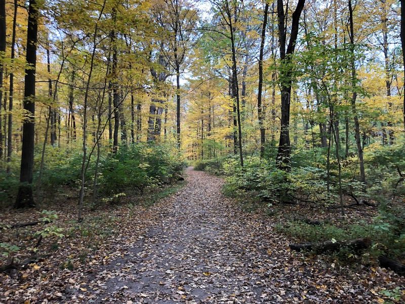 The Trail Network That Keeps Surprising You
