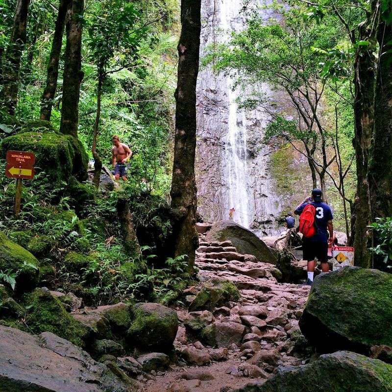 The Trail That Starts It All