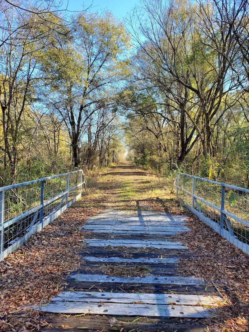 The Trail as a Work in Progress
