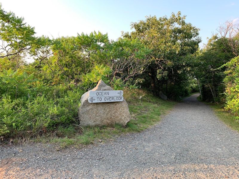 The Trails That Connect Everything