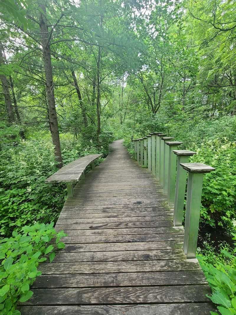 The Trails Themselves: Soft, Quiet, and Thoughtfully Kept The Trails Themselves: Soft, Quiet, and Thoughtfully Kept