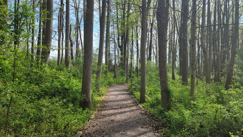 The Trails: What to Expect Before You Go The Trails: What to Expect Before You Go