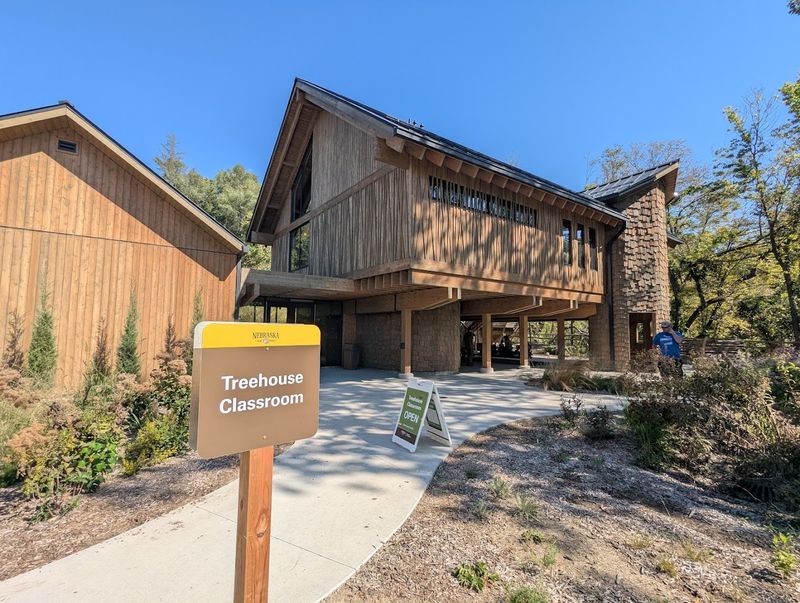 The Treehouse Classroom That Earns Its Own Visit