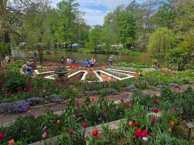 The Tulip Tradition That Honors a Lost Sister The Tulip Tradition That Honors a Lost Sister