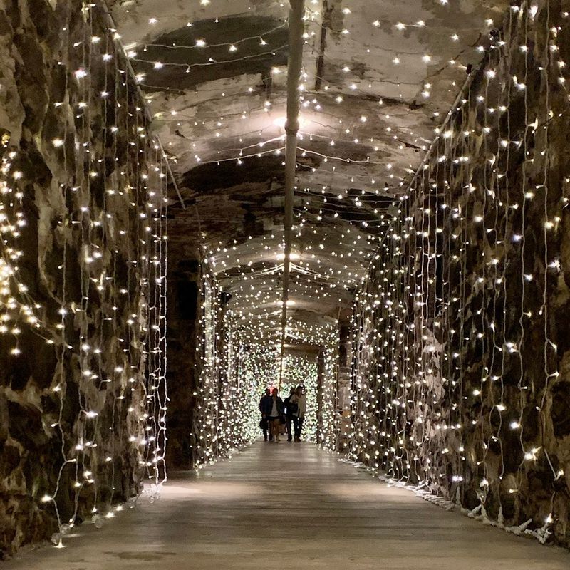 The Tunnel Entrance: An Unforgettable First Impression