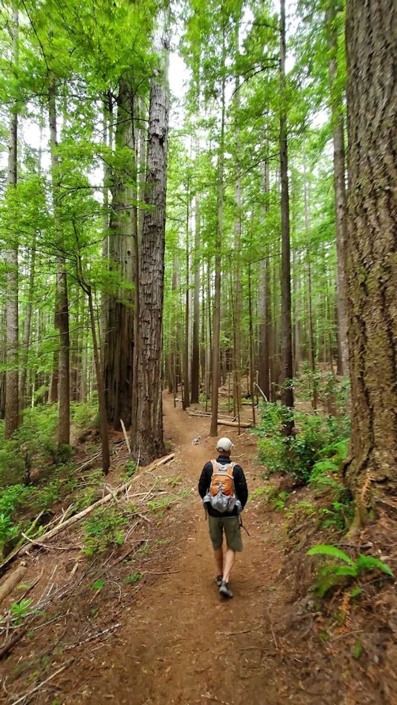 The Two Trail Options and What Each One Offers