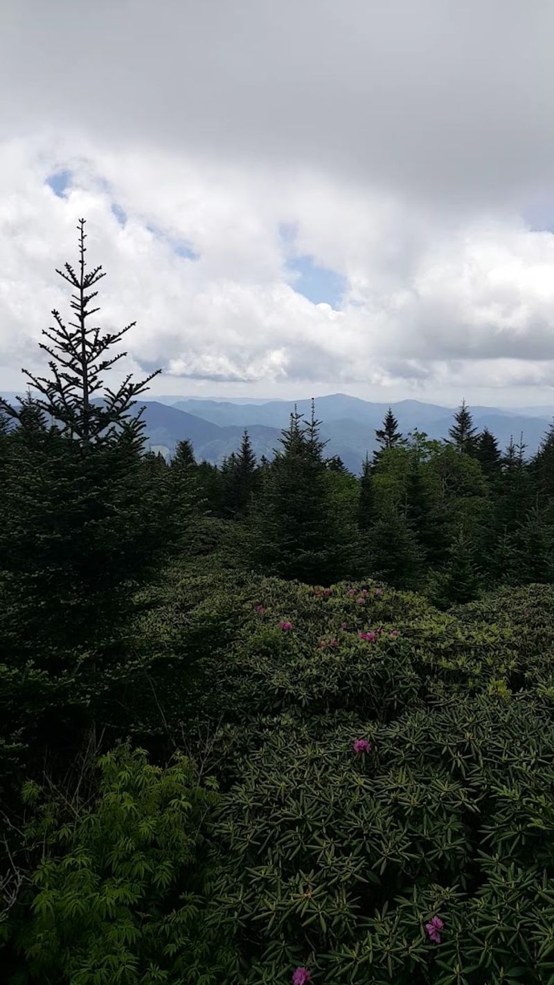 The Unpaved Option: Hiking to a Second Overlook The Unpaved Option: Hiking to a Second Overlook