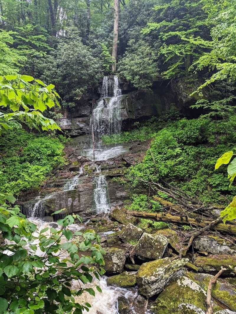 The Upper Trail: A Quieter Route Through the Forest The Upper Trail: A Quieter Route Through the Forest